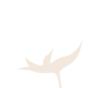 Soniodoro Logo